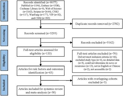 Risk factors and outcomes of IgA nephropathy recurrence after kidney transplantation: a systematic review and meta-analysis